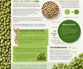 Green Chickpeas Nutrition 100g