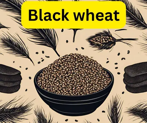 What are the benefits of black wheat? you can know the everything