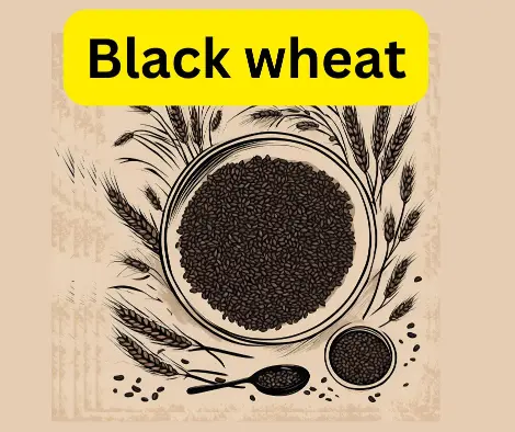 This is an image for black wheat which is generated image. And we will know about the benefits of black wheat.